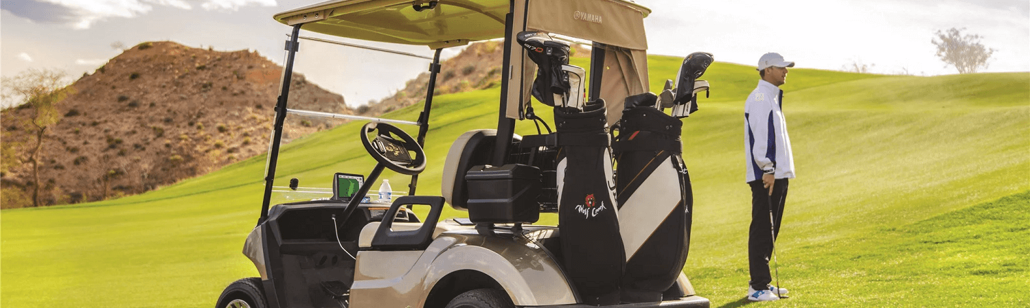 2020 E-Z-GO Freedom® RXV® ELiTE™ Almond for sale in Sasser Golf Cars, Goldsboro, North Carolina