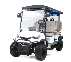 Dach Golf Cars for sale in Goldsboro, NC
